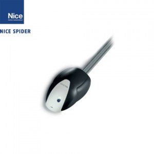 nice-spider-480x480